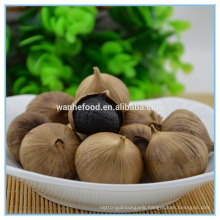 Fermented Odourless Black Garlic Bulb Cloves for Healthcare